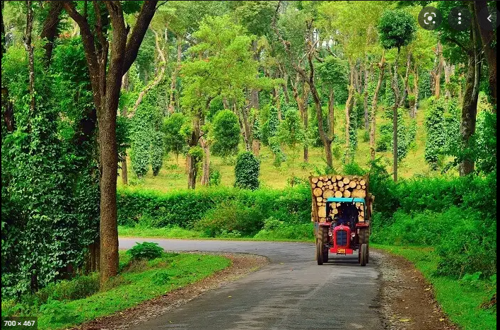 Coorg