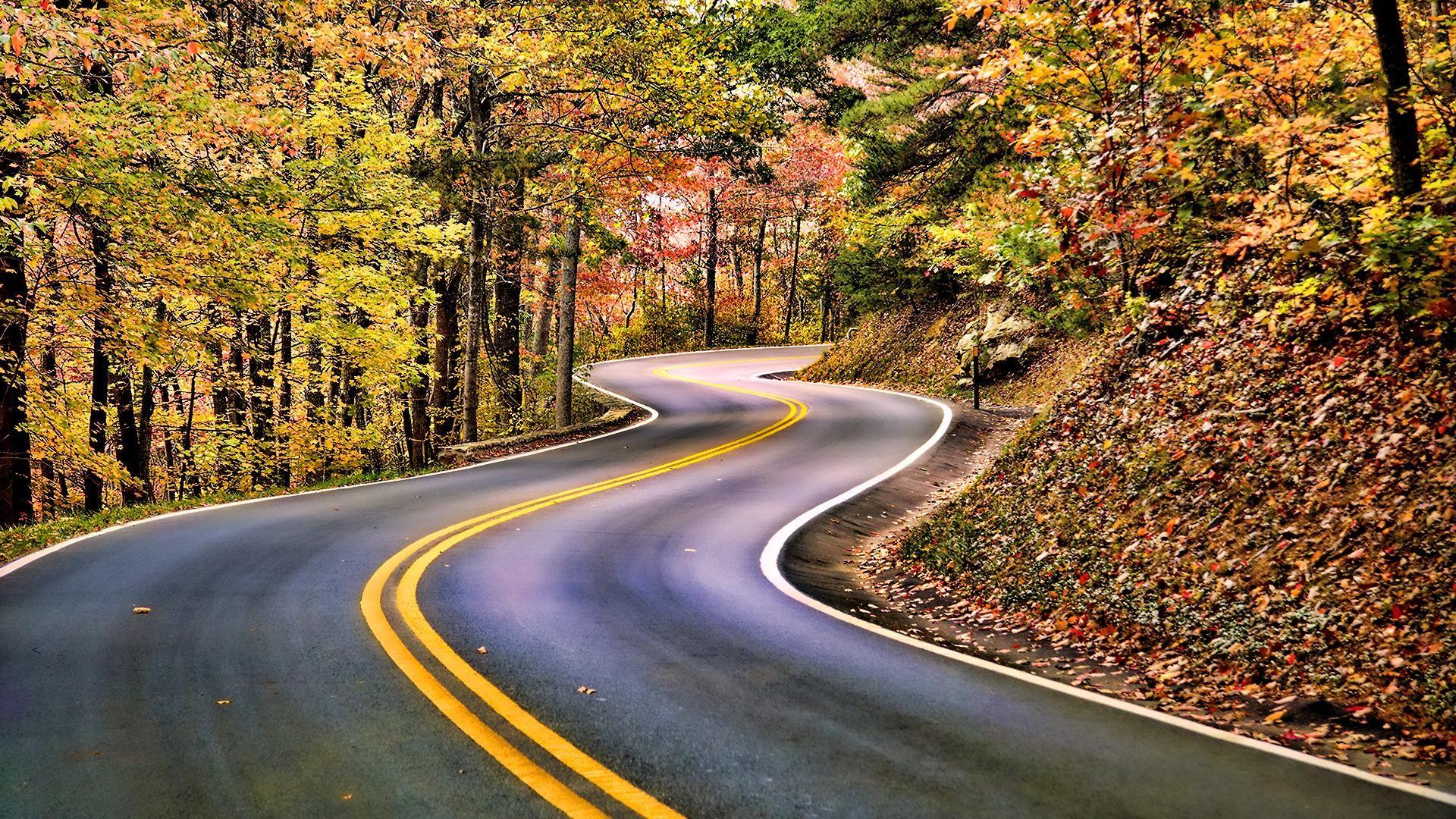 Bangalore to Pondicherry Road Trip: You Can Explore These 3 Routes