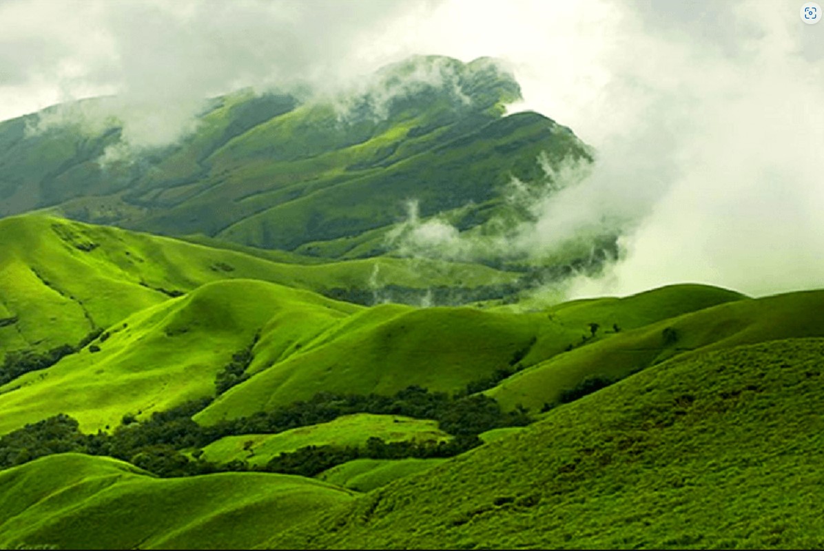 Bangalore to Coorg Road Trip